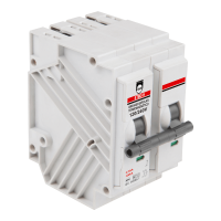 BREAKER PARA RIEL 2-POLOS 16A-10KA